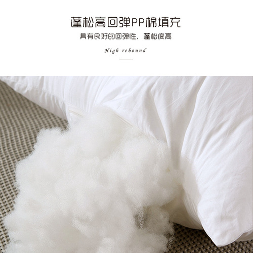 PP Cotton Velvety Fabric Pillow Core Wholesale Slow Recovery Feather Silk Filling Non-woven Fabric Pillow Center, a Pair of Square 100% Cotton Pillows