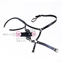 ��Ȥ���������ο�R���͹��z��̖�p�^ꖾ߿����̿�ڼϿ羳K9����