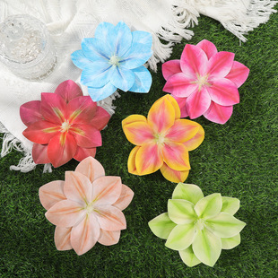 �W��������Ʒ�羳�������|14cm������߅���l�A��ɫ�ĺ�߅����l�