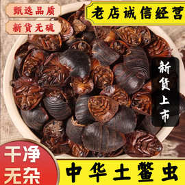 土元中药材土元虫土鳖虫地鳖虫土元干非活体中华土鳖虫土鳖子正宗