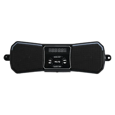 Modified Audio System: Car speaker/subwoofer