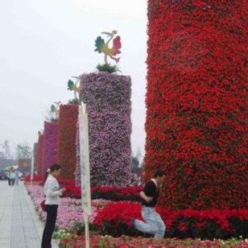 厦门庆典花柱拱门、展览花柱拱门、游乐场花柱拱门等出租、销售