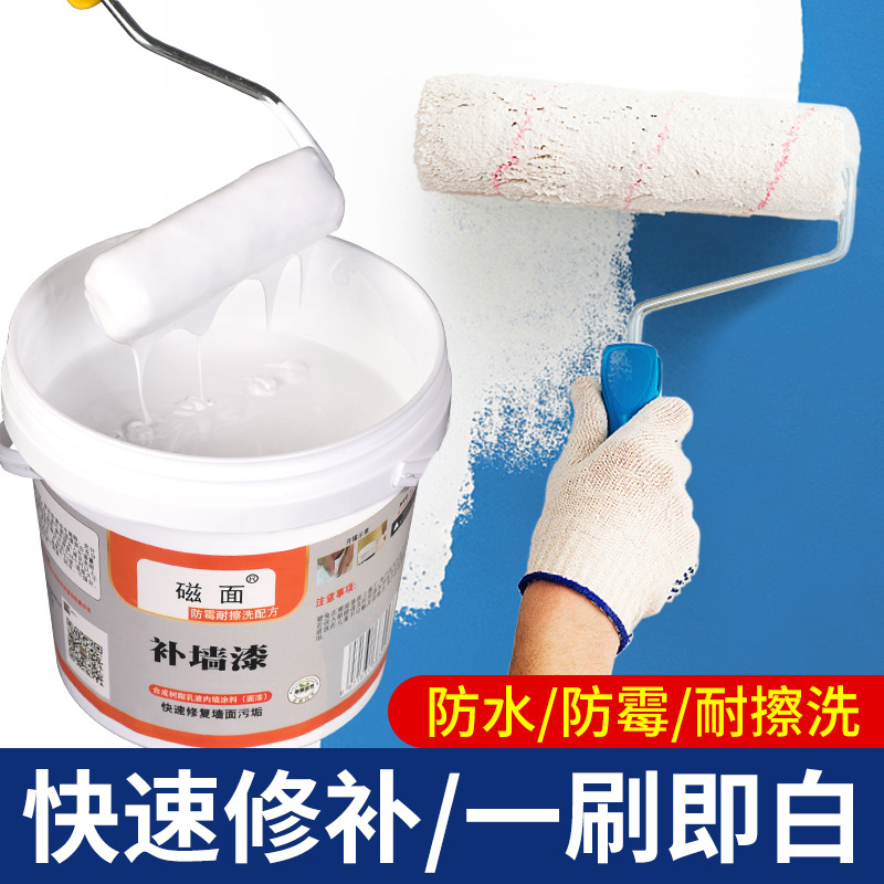 Paint white metope repair Retread repair Wall Wall Moisture-proof Antifungal coating Latex paint