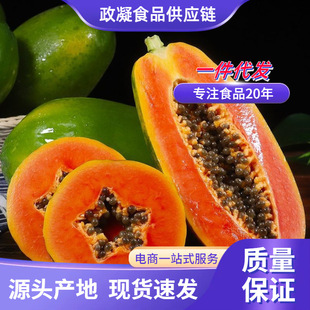 �V���t��ľ�� ���l2/9��������ϱ�������Ŵ���r�f�۹�����ˮ��