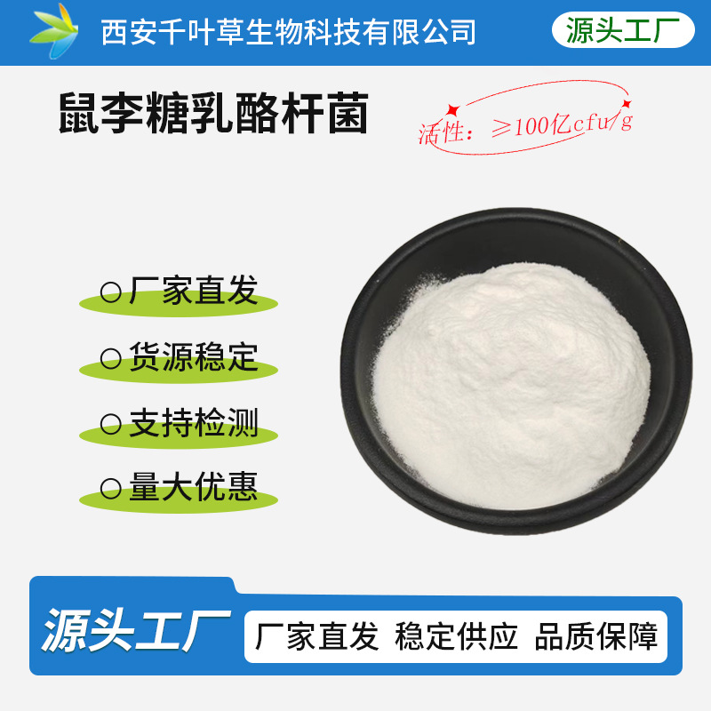 鼠李糖乳杆菌100亿CFU/g活性益生菌冻干粉现货供应鼠李糖乳酪杆菌