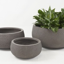 羳VAλɫsWL҃ȑͥԺֲﻨ