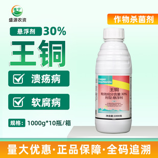 һ��30%���~�Ҹ������ٝ������FƤʯ��ܛ�����rș�������������