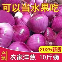紫皮洋葱甜味新鲜生吃水果蔬菜洋葱不辣农家特产9斤整箱包邮