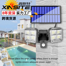 �¿������Ӧ����ͥԺ�ƻ�԰�ƻ����ˮ·�� ˫ͷ̫���ܸ�Ӧ�ڵ�