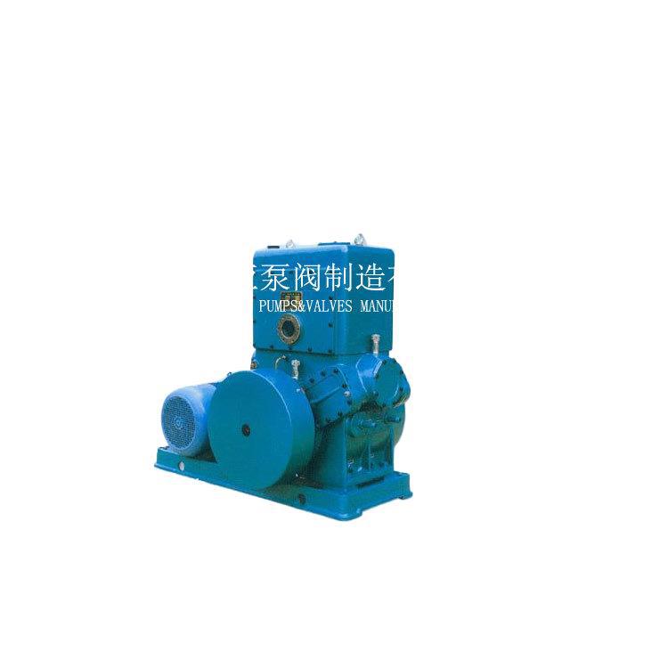 2H-70隔爆真空泵 滑阀永磁驱动真空泵