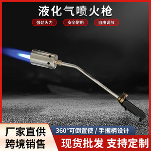 Ea-1, Ea-2 Series Liquefied Gas Flame Baking Gun Burning Spray Gun 2m Rubber Tube