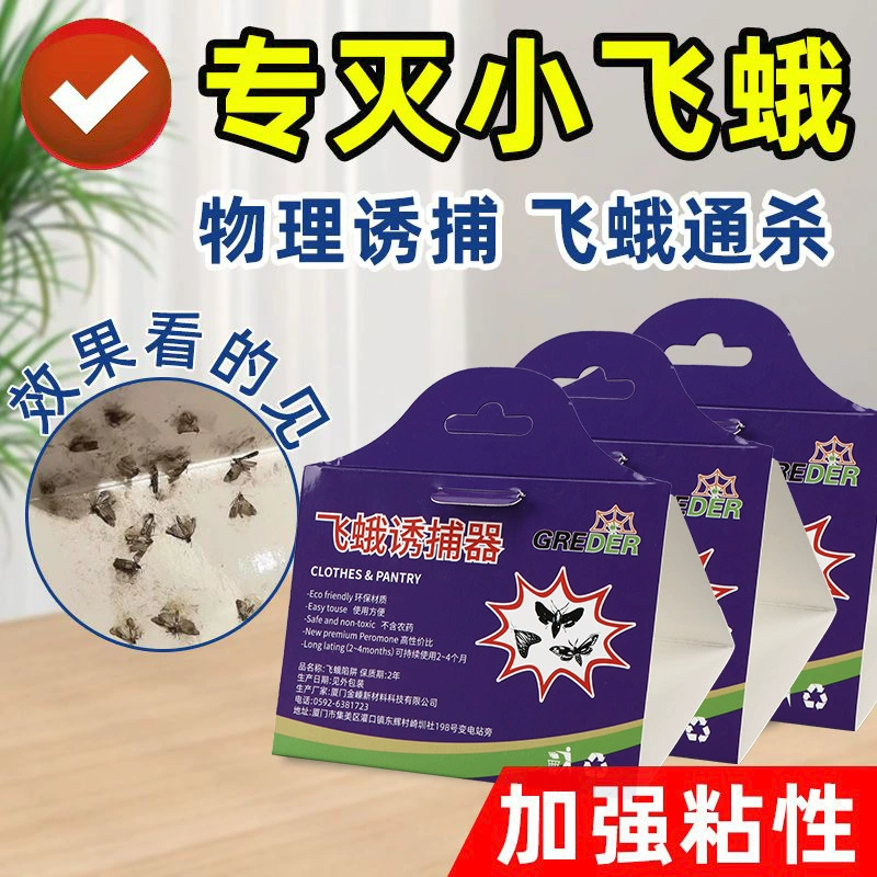 Ловушка для ловушки мотылька домашнее