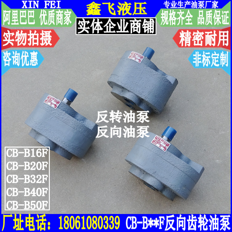 CB-B16F CB-B20F CB-B32F CB-B40F CB-B50F反转油泵反向泵逆转泵