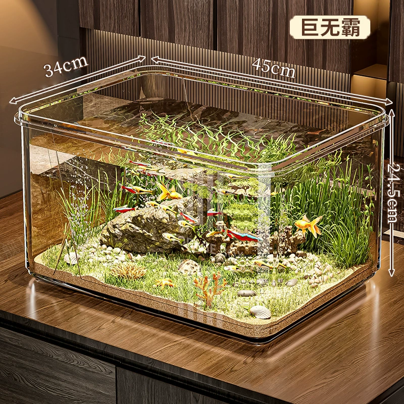 Transparent small square acrylic aquarium for office