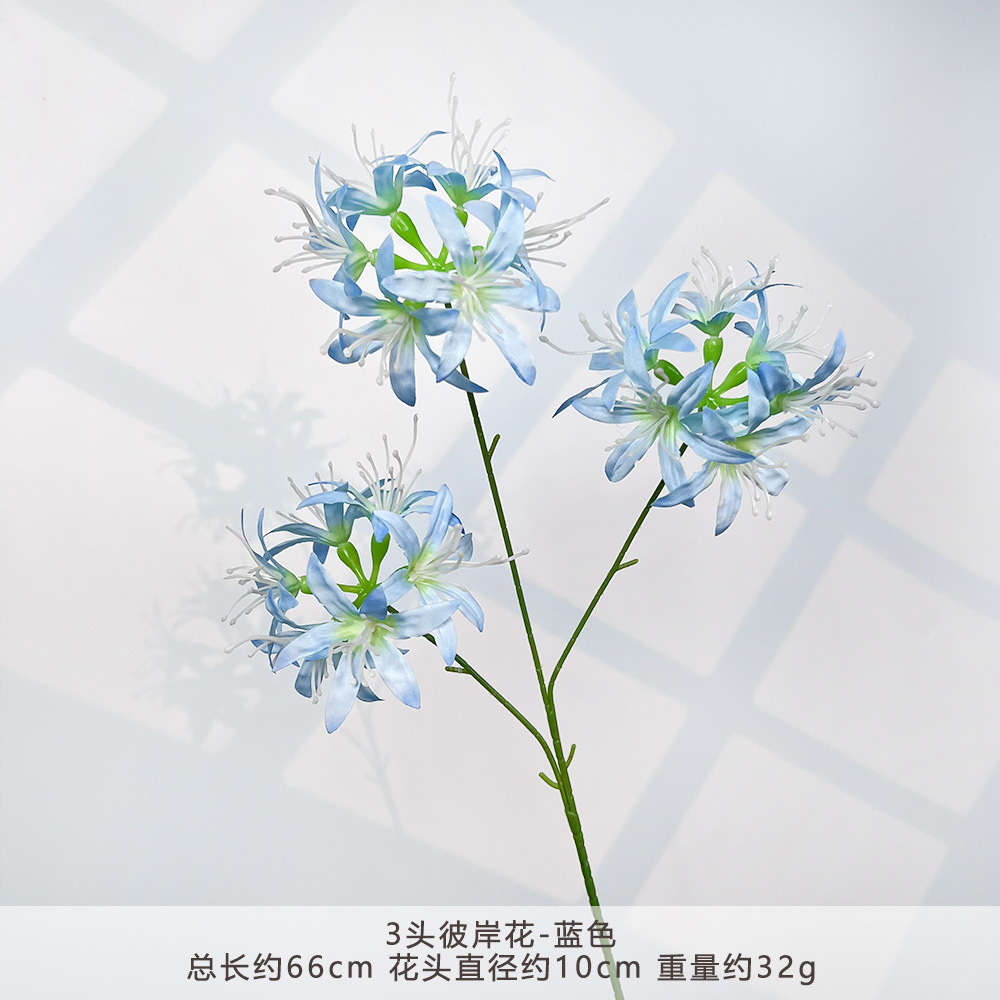 HXX-3头彼岸花-蓝色