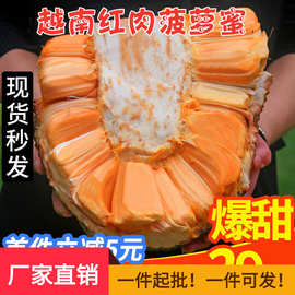 现货越南进口红肉菠萝蜜一整个红心波罗蜜当季新鲜水果整箱包邮。