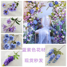 {ɫw_mLӻcbٻ͏d廨[