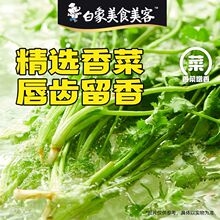 ��������u���Q��ϲ��rƤ����ըС�Q�����_��Ͱ�b��ʳ��ʳ����