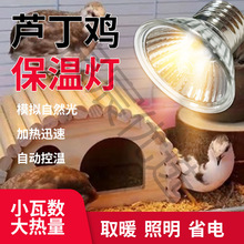 �J���u���؟��ӟ���Ԅӿ؜،����Bֳ���ݱ�����С�u���rȡů��