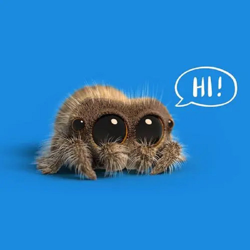 Lucas Little Spider Lucas Spider Doll Children's Plush Toy Cute Cute Reptile Little Doll