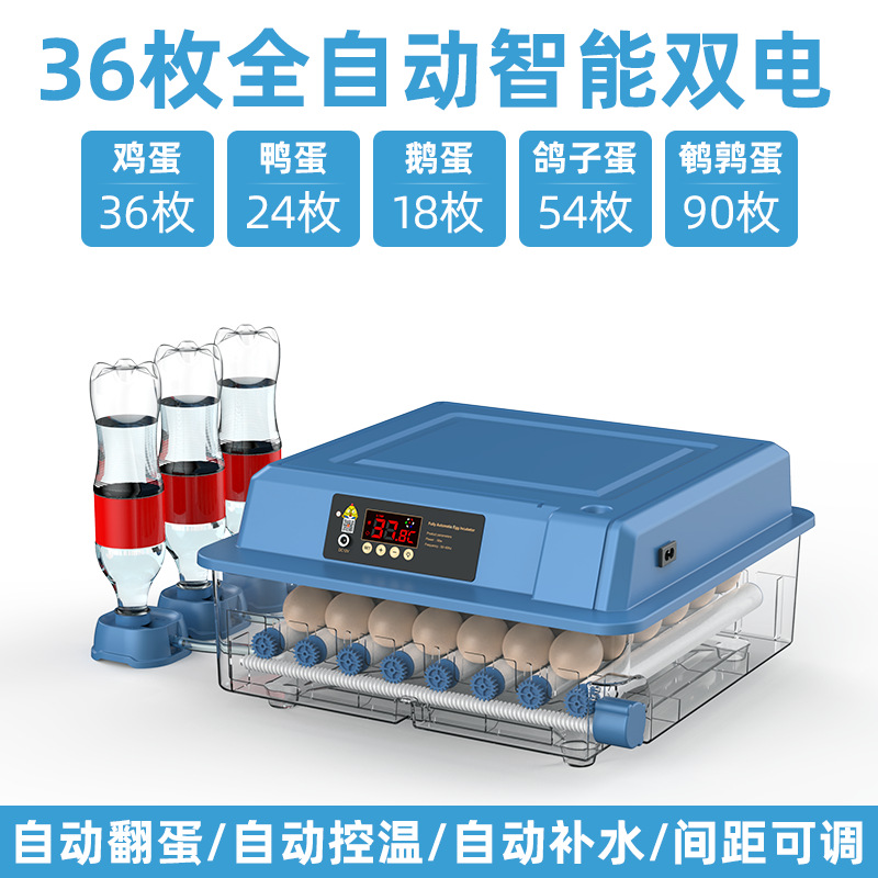 Incubadora de Huevos Inteligente para Codornices, Máquina de Incubación Inteligente para Cría de Aves, Fabricante Original
