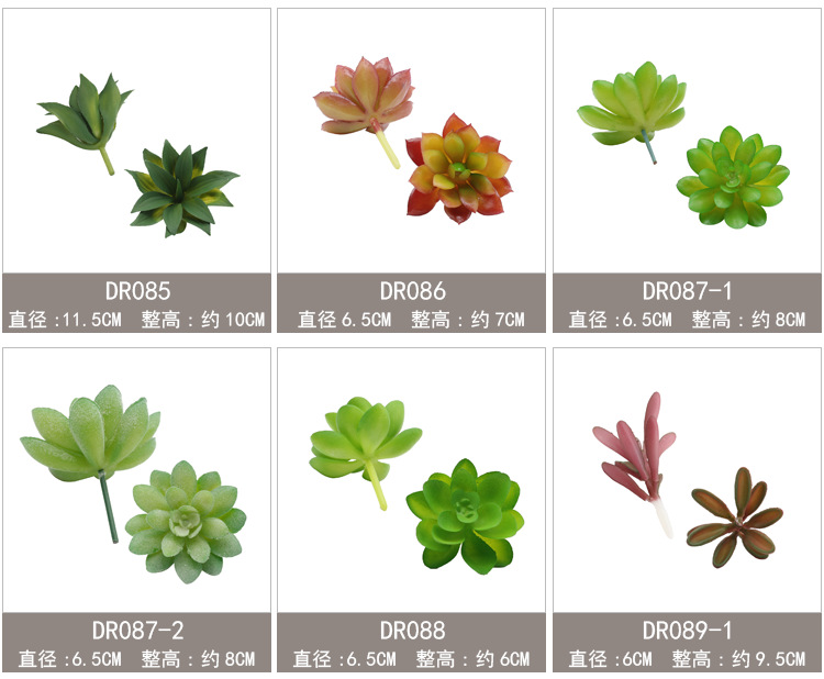 新单枝模板60-90_08