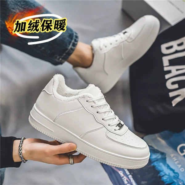 【Plel】 White