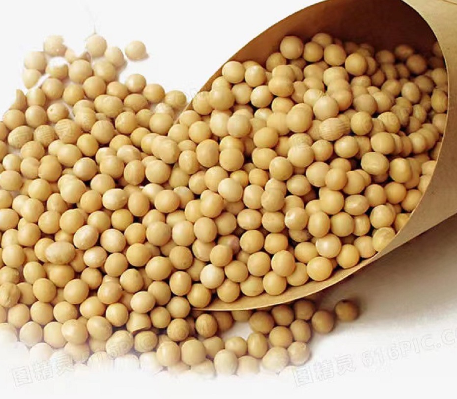 微信图片_20230328113039