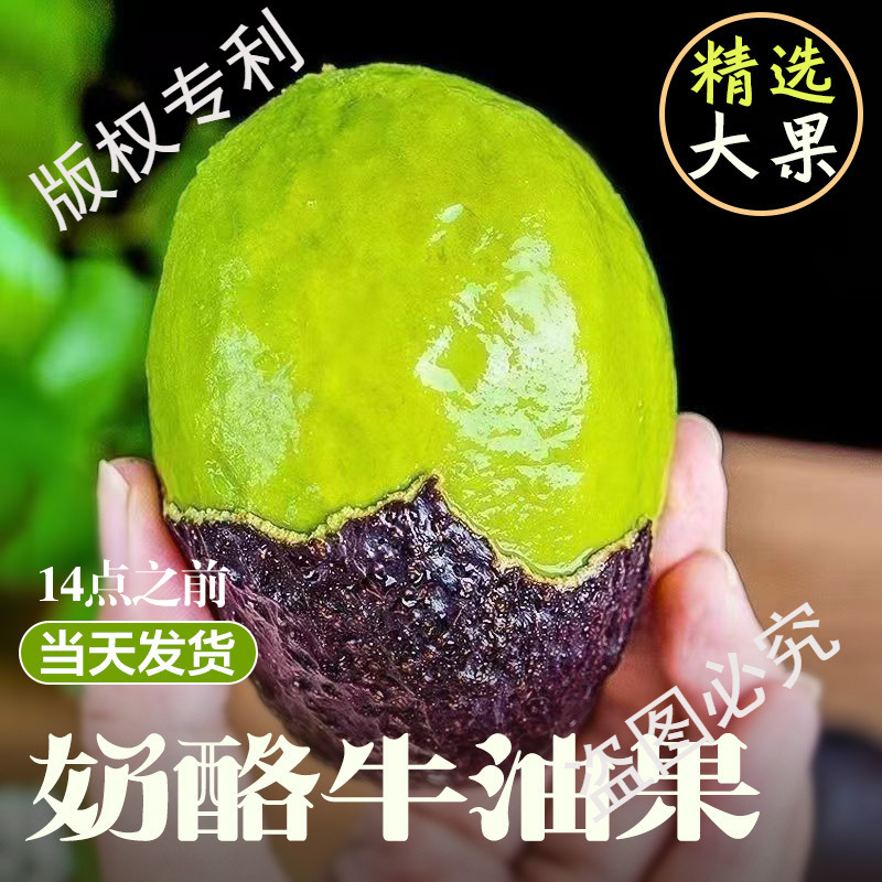 Peruvian Hass Avocados 10 Fresh Fruits Seasonal Whole Box Free Shipping First-Class Avocado Imported Food Supplement Cream