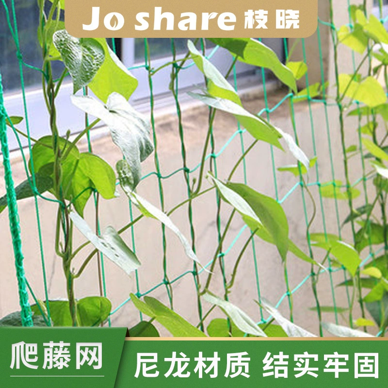 Zhixiao нейлоновая сетка для скалолазания сетка для ограждения дома садоводства дыни и фруктов Morning Glory альпинистские цветы альпинистская лоза для растений
