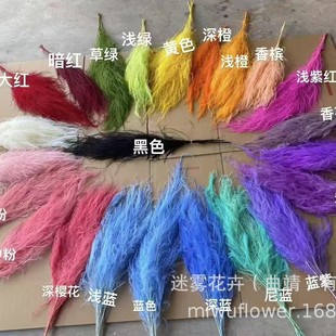 �������ɻ�������ë����횲��Lë�ݵ��׻�c�b�ܛ�b��ˇ�Ғ�ɻ�