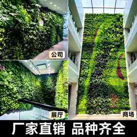 绿植墙仿真植物墙花墙绿植背景墙面门头阳台装饰假花塑料草坪