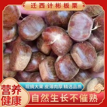 迁西燕山板栗生新鲜 产地直发软糯香甜炒货店商用 一包起发