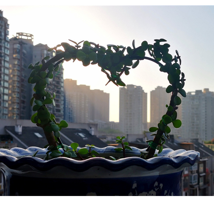 O1CN01tCFDiv1GurGlf7RJ7_!!0-ra