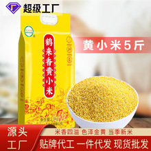 �Q�����SС��5��С���������s�Z������ȴּZ�r����Ʒ�S�����l