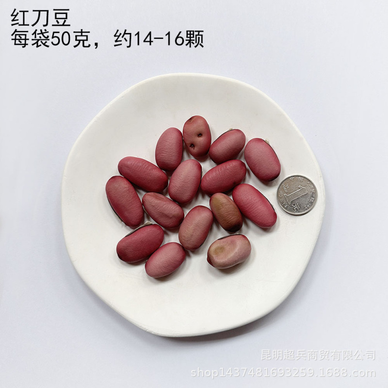【各种果实类干花】圣诞果实类装饰品干花干果香薰蜡烛DIY橡果精|undefined
