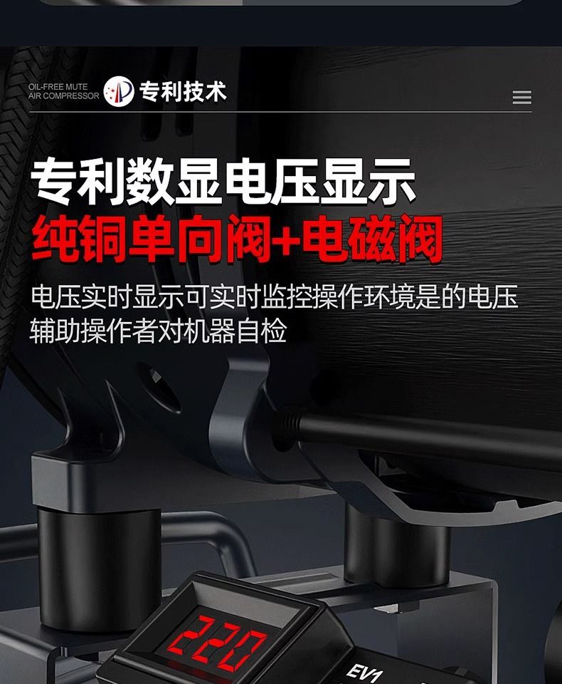 Saintpa Air Compressor 220V Silent Oil-Free Small Air Pump Industrial Grade High Pressure 10L30L55L120L150L