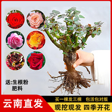 ���Iһ�l�����������õ���Ϙ������҃��������¼��ϸ��ļ��_��