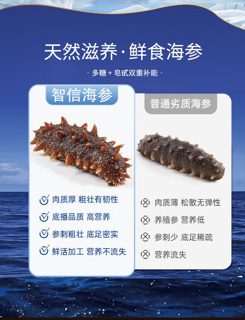 Ready to Eat Sea Cucumber Frozen Cooked 500g Vacuum Packed Seafood Supply quality and texture