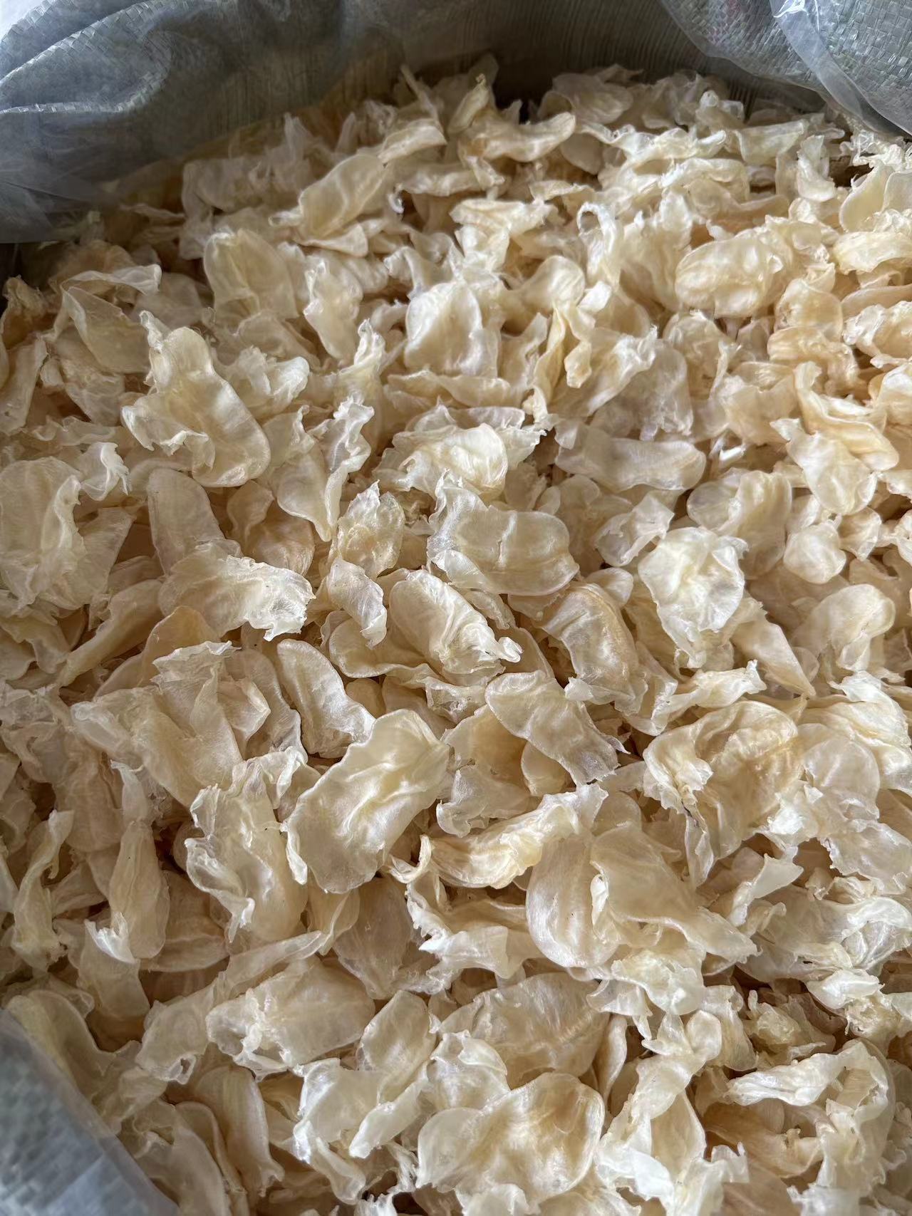 微信图片_20230212151252