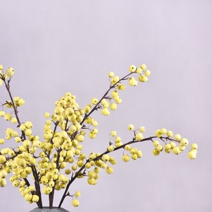 �S��ֱ�N�����֦���Ĺ��ҾӾƵ�Ӱ��g�bٻ�����{�����lɳ��