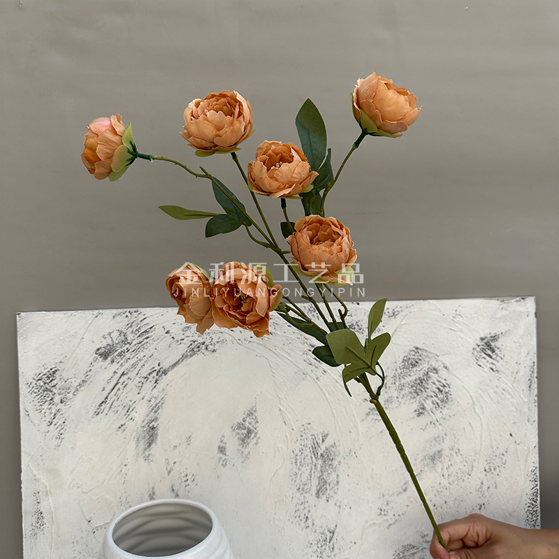 Brown exquisite peony