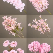 �¿��ɫϵ��c���Ľ�������Y���쾰�����b�·���廨ˇ