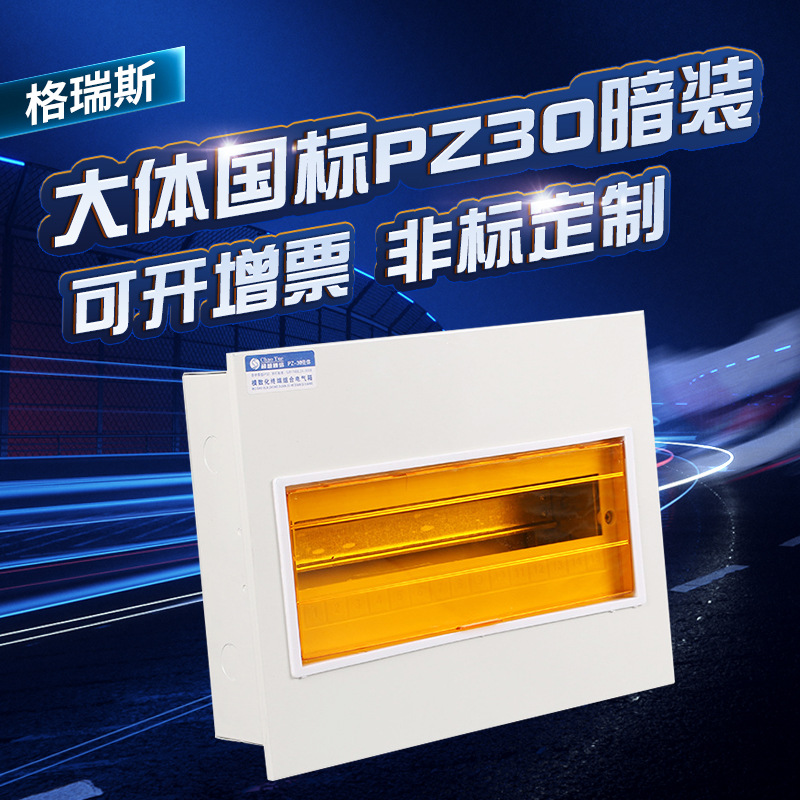 临沂厂家大体国PZ30暗装回路箱 家用弱电箱配电箱 空气开关盒