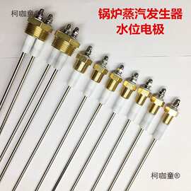 蒸汽锅炉不锈钢耐温水位计电探针测水位控制液位传感器感应麦太保