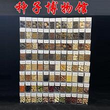 sZӌWbe׃@Յ^NӲ^JRNʡ