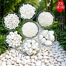 白色鹅卵石 石头雨花石庭院造景装修白色石子园林景观小石头