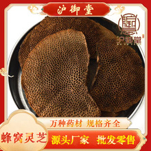 �����÷�C�`֥ë��C�`֥�f��ަ߀ꖲݭ���