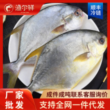 金鲳鱼新鲜镜鱼批发鲜活冷冻海鱼鲳鱼金昌鱼平鱼水产鳊鱼冰鲜商用