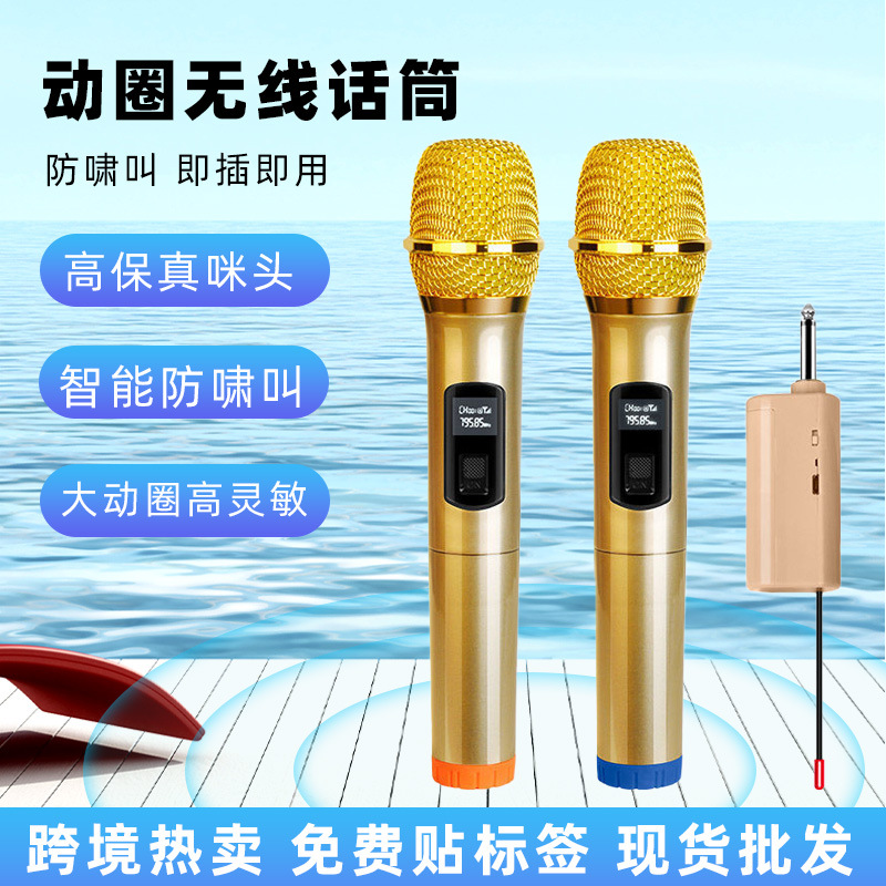 Wireless microphone one for two household sound card golden microphone dedicated outdoor karaoke audio equipment V segment wholesale
